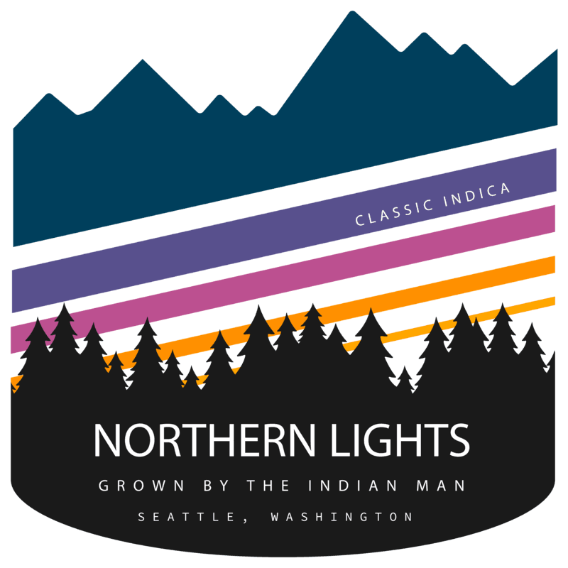 Northern Lights (back)